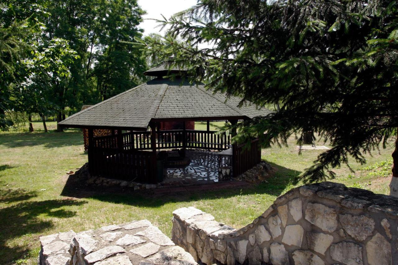 Nad Zalewem -pensjonat, Penzion Dzibice